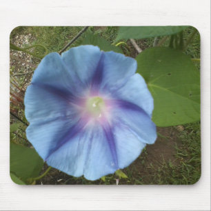 Tapis De Souris gloire du matin bleu mousepad