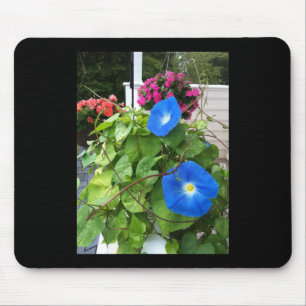 Tapis De Souris Glorieuses Volubilis Bleues