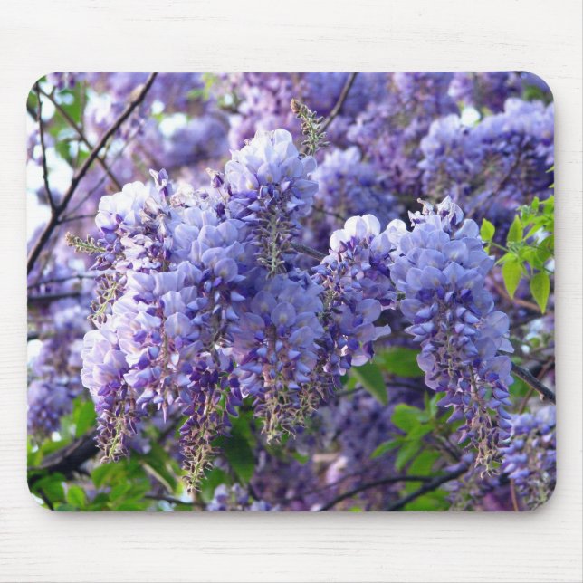 Tapis De Souris Glycines Mosepad (Devant)