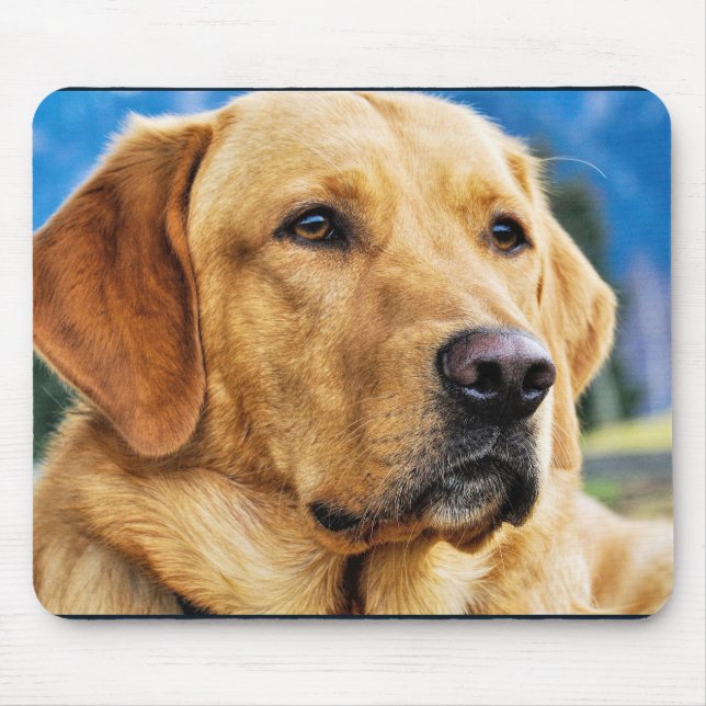 Tapis De Souris Golden Labrador Retriever (Devant)