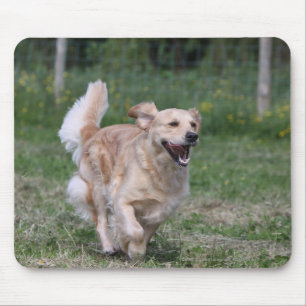 Tapis De Souris Golden retriever courant 1