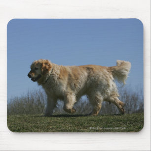 Tapis De Souris Golden retriever courant 3