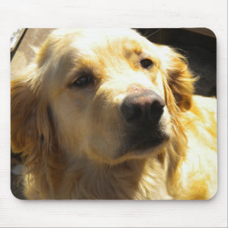 Tapis De Souris Golden retriever Mousepad