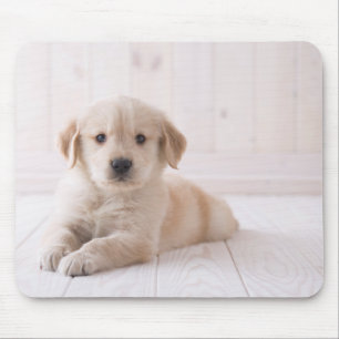 Tapis De Souris Golden retriever se couchant