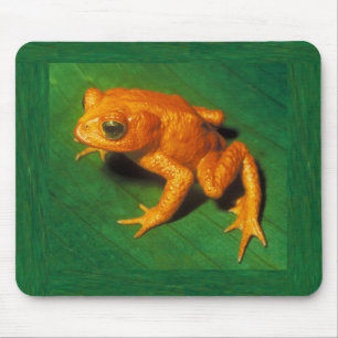Tapis De Souris Golden Toad Mousepad