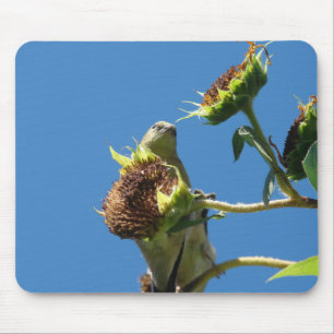 Tapis De Souris Goldfinch