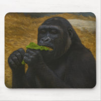 Gorilla Grace - Portrait réaliste de la faune