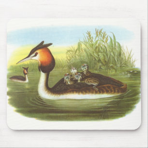 Tapis De Souris Gould - grand grèbe crêté - cristatus de Podiceps