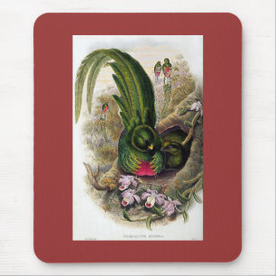 Tapis De Souris Gould - Quetzal