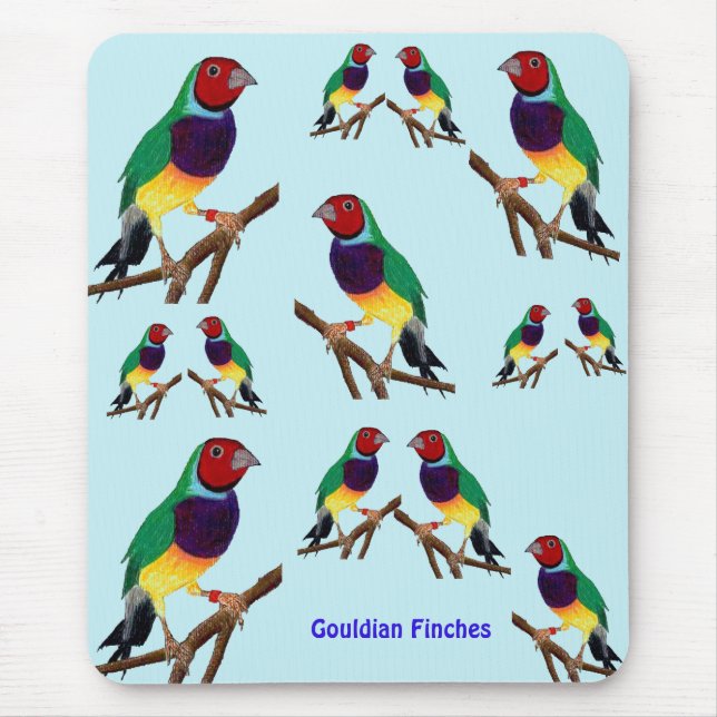 Tapis De Souris ~ Gouldian Finch ~ Art original ~ Pad souris (Devant)