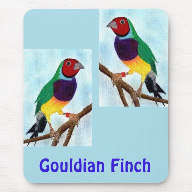 Tapis De Souris ~ Gouldian Finch ~ Art original ~ Pad souris (Devant)