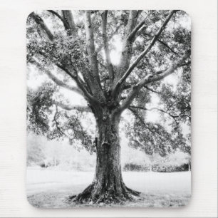 Tapis De Souris Grand