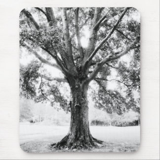 Tapis De Souris Grand