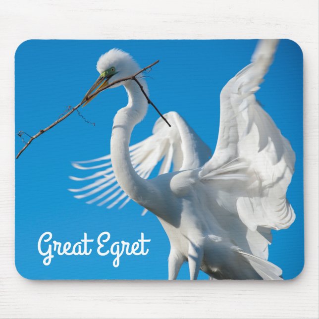 Tapis De Souris Grand Aiguille (Devant)