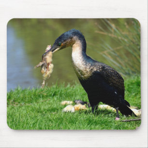 Tapis De Souris Grand Cormoran mangeant poussin