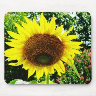 Tapis De Souris Grand tournesol jaune