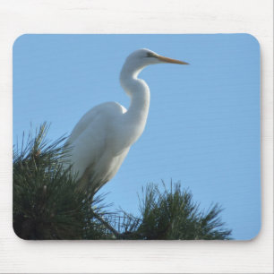 Tapis De Souris Grande Aigrette en Floride ensoleillée