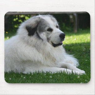 Tapis De Souris Grande Pyrénées Mousepad