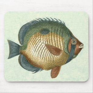 Tapis De Souris Grands poissons colorés