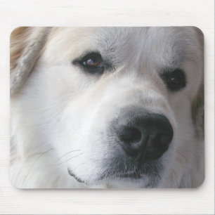 Tapis De Souris Grands Pyrénées Mousepad