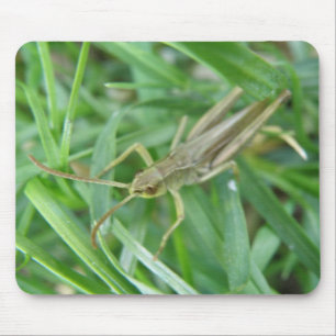 Tapis De Souris Grasshopper Mousepad