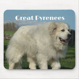 Tapis de souris Great Pyrenees