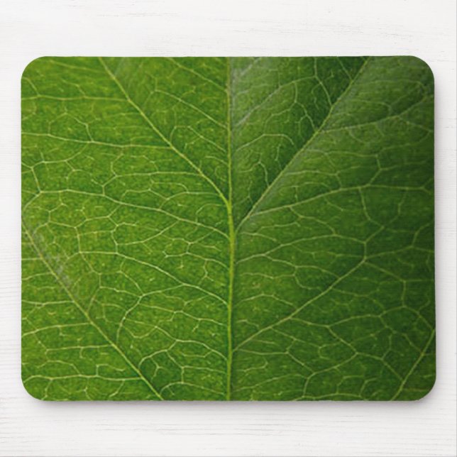 Tapis De Souris Green leaf (Devant)