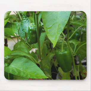 Tapis De Souris Green peppers
