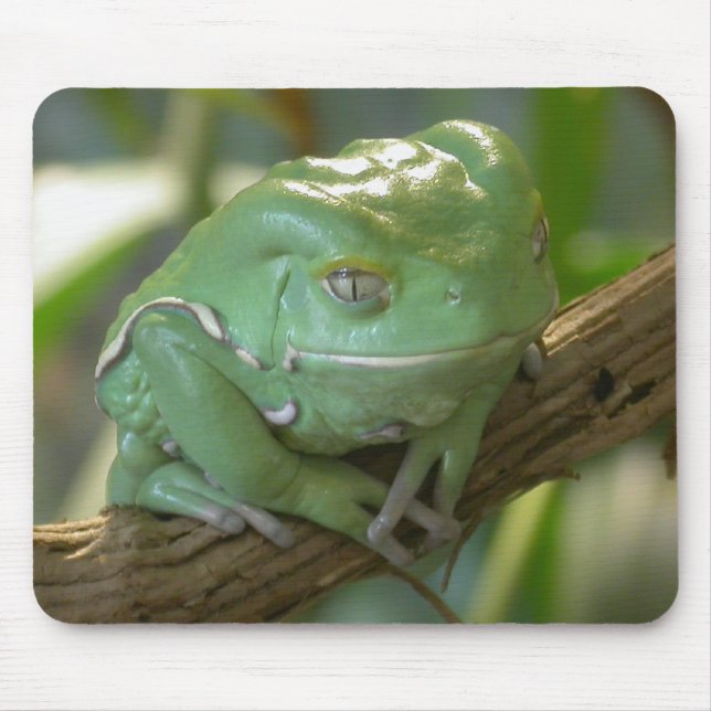 Tapis De Souris Grenouille à cire (Devant)