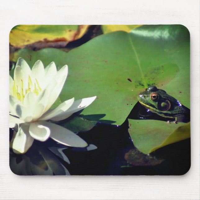 Tapis De Souris Grenouille Admirant Lotus Water Lily Flower (Devant)