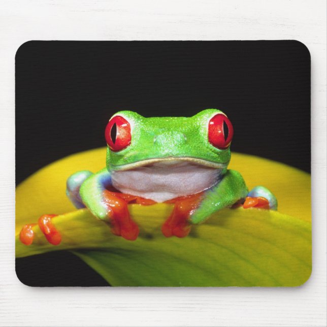 Tapis De Souris Grenouille arboricole aux yeux rouges, Agalychinis (Devant)