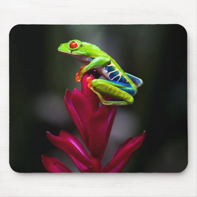 Tapis De Souris Grenouille aux yeux rouges (Devant)