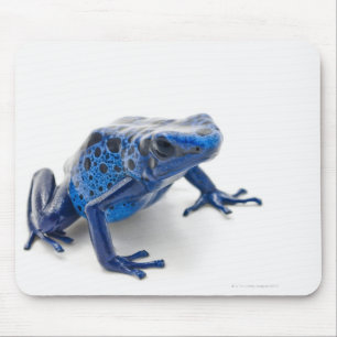 Tapis De Souris Grenouille bleue de dard de poison (Dendrobates