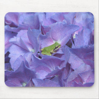 Tapis De Souris Grenouille d'arbre