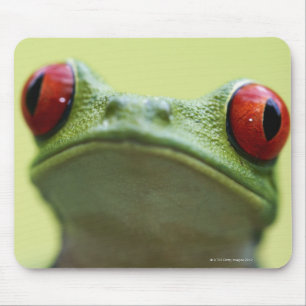 Tapis De Souris Grenouille d'arbre aux yeux rouges (callidryas