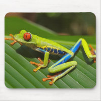 Grenouille d'arbre observée par rouge Mousepad