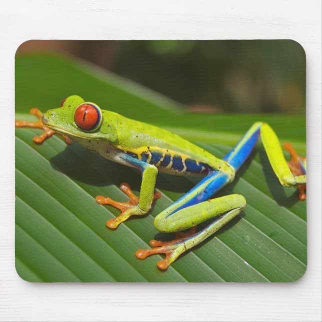 Tapis De Souris Grenouille d'arbre observée par rouge Mousepad (Devant)