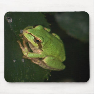 Tapis De Souris Grenouille d'arbre verte Mousepad