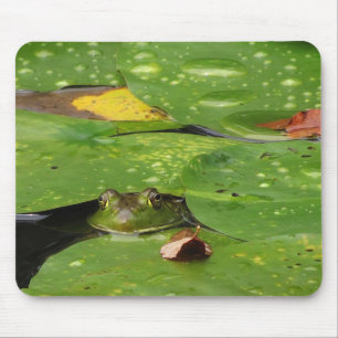 Tapis De Souris Grenouille et Lily Pads