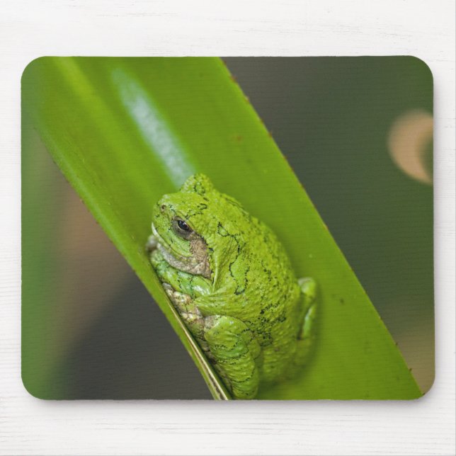 Tapis De Souris Grenouille sur une feuille verte (Devant)