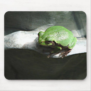Tapis De Souris Grenouille verte