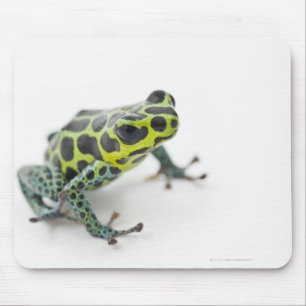 Tapis De Souris Grenouille verte de dard de poison repérée par