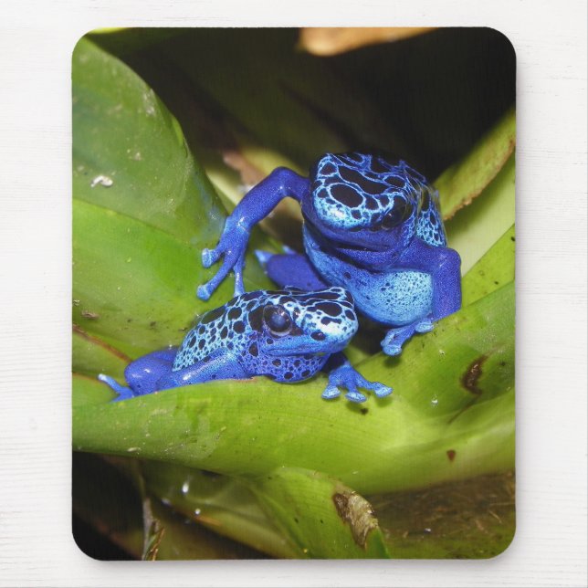 Tapis De Souris Grenouilles bleues de dard de poison dans la (Devant)