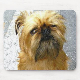 Tapis De Souris Griffon Mousepad de Bruxelles