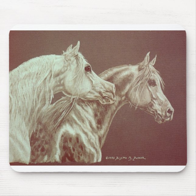 Tapis De Souris gris (Devant)