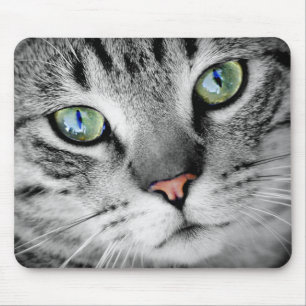 Tapis De Souris Gris Tabby Vert teint gros