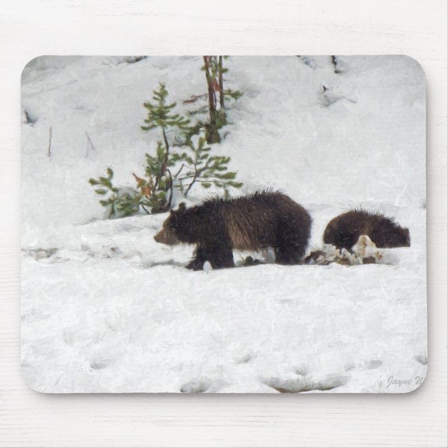 Tapis De Souris Grizzlis (Devant)