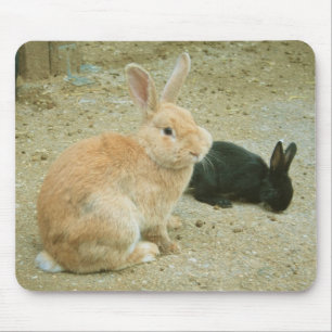 Tapis De Souris Gros Lapin Rouge