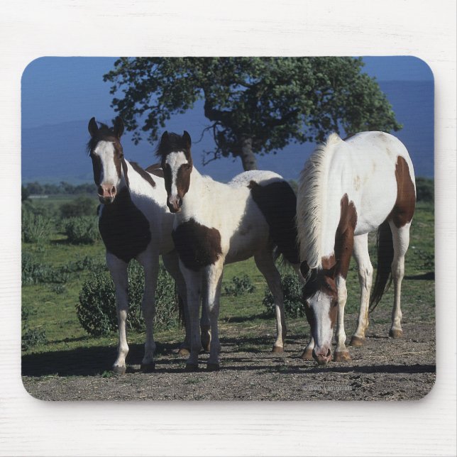 Tapis De Souris Groupe de chevaux de peinture (Devant)