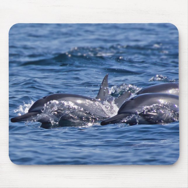 Tapis De Souris Groupe de dauphins de goulot - Oman (Devant)